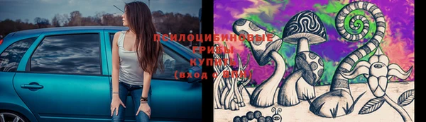 хмурый Богородицк