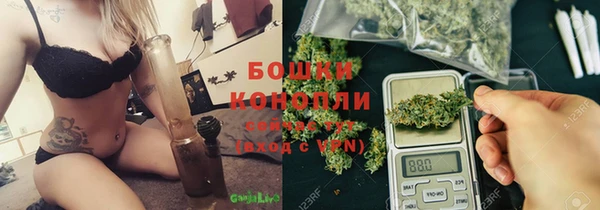 spice Богданович