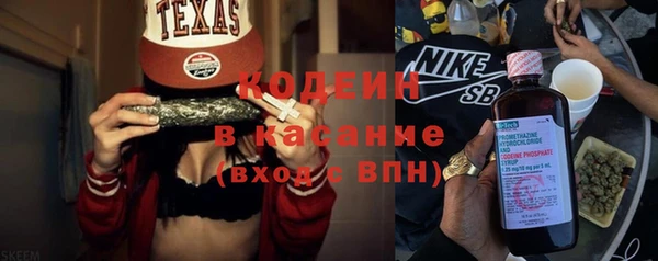 хмурый Богородицк