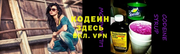 хмурый Богородск