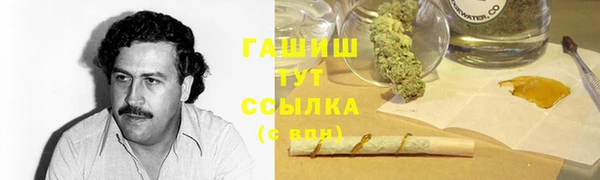 spice Богданович