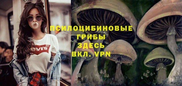хмурый Богородицк