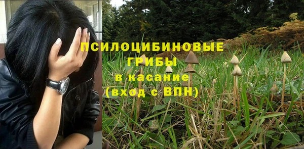 хмурый Богородицк