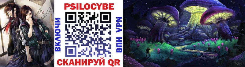 omg как войти  Бахчисарай  Псилоцибиновые грибы Psilocybine cubensis 